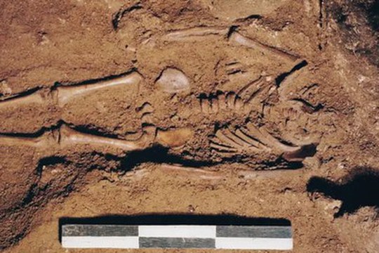 È di un bambino vissuto 17.000 anni fa il genoma più antico d’Italia