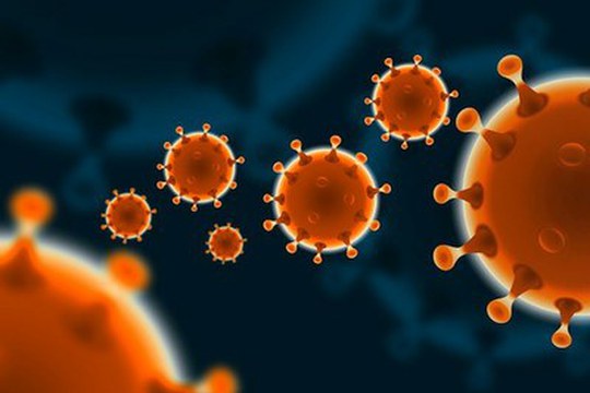 Un nuovo test rapido per il coronavirus SARS-CoV-2