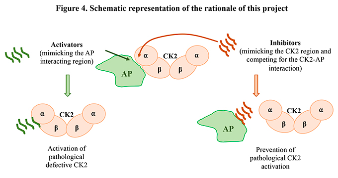 Schema